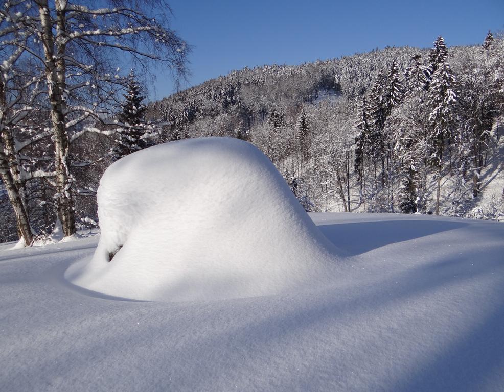 Penzion Pod Kopcem Lägenhet Janov nad Nisou Exteriör bild