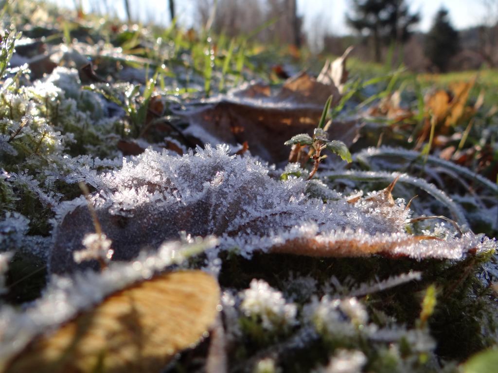 Penzion Pod Kopcem Janov nad Nisou Exteriör bild