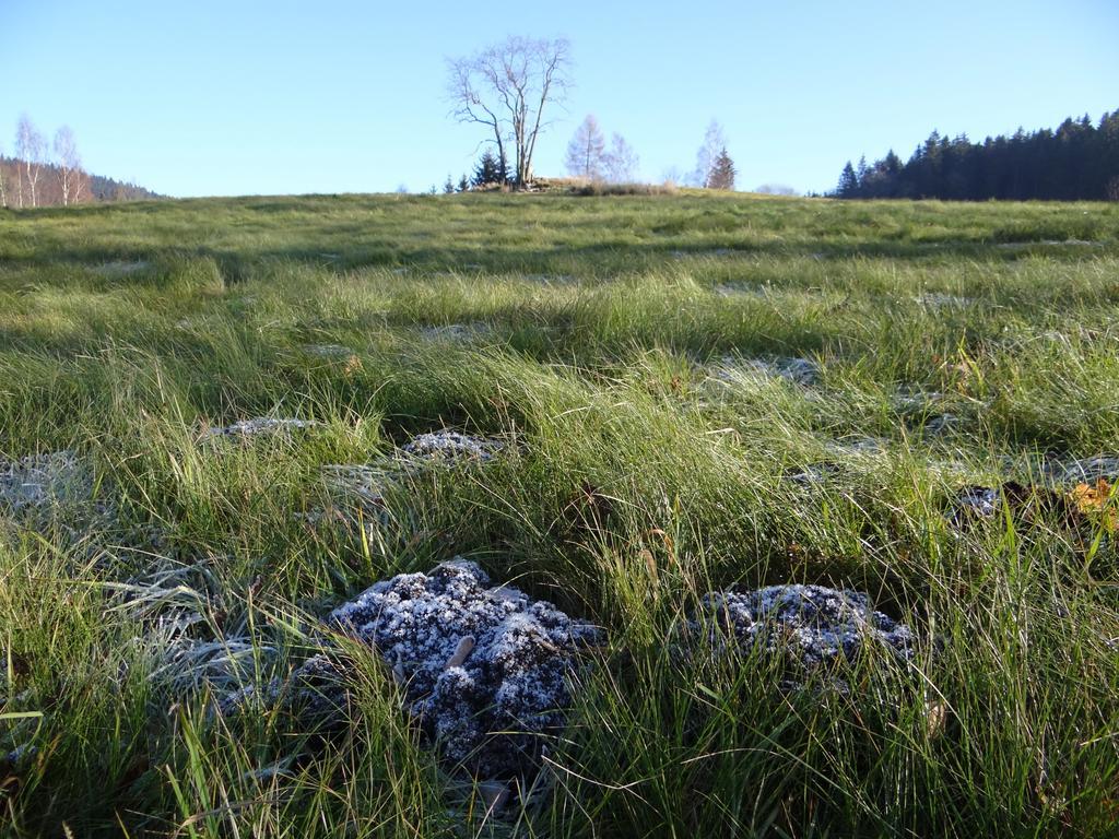 Penzion Pod Kopcem Janov nad Nisou Exteriör bild